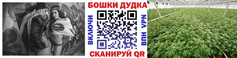 Где найти наркотики Каневская А ПВП  COCAIN  ГАШ  Каннабис 