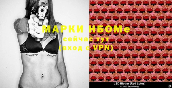 гидропоника Няндома