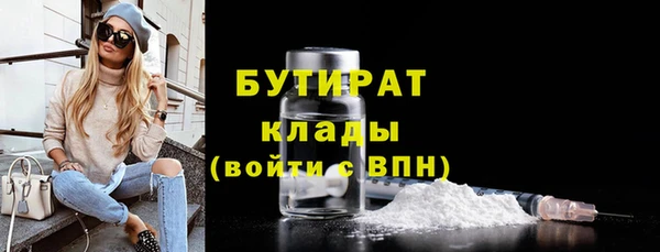 прущие грибы Сковородино