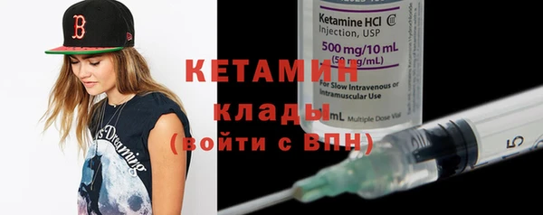 прущие грибы Сковородино