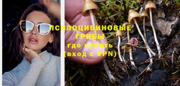 гидропоника Няндома