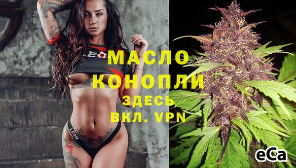 прущие грибы Сковородино
