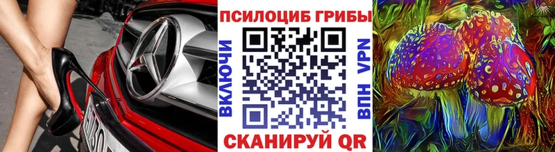 Псилоцибиновые грибы мицелий  Каневская 