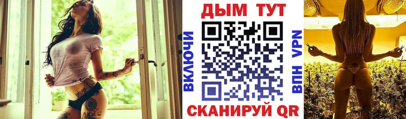 Конопля гибрид  Каневская 