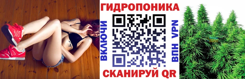 Конопля гибрид Каневская
